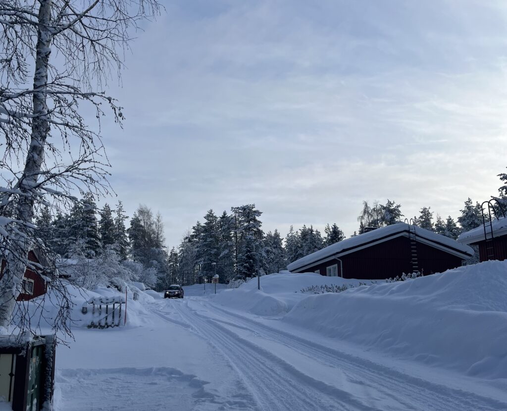 Image of a residential neighbourhood in Rovaniemi, Finland. The trees, the houses and the driveways are completely covered in snow.