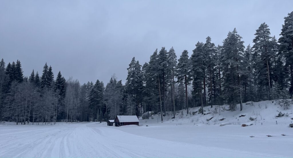 Image of a frozen lake in Uro, Finland. The frozen lake is covered in snow and there is a forest nearby.